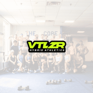 VTLZR Sticker - 3 Pack